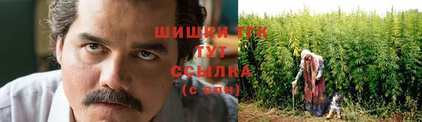 2c-b Костерёво