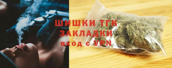стафф Корсаков
