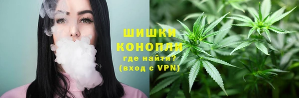 стафф Корсаков