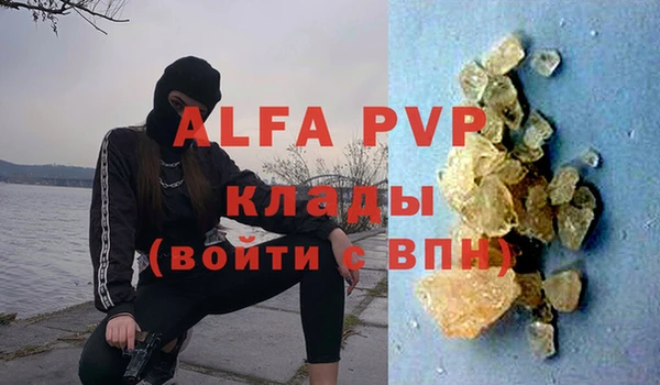 стафф Корсаков