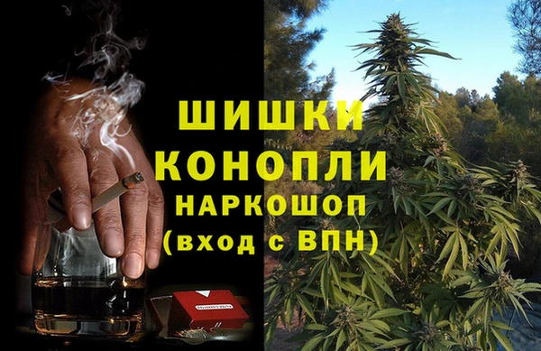 стафф Корсаков
