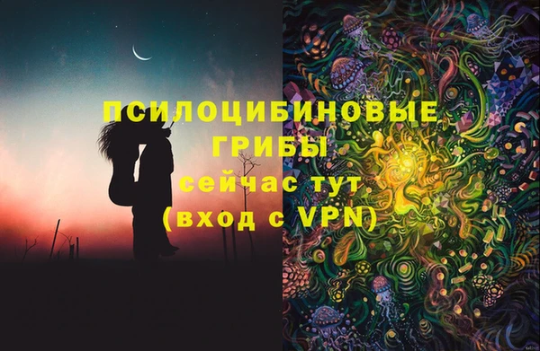 спиды Козельск