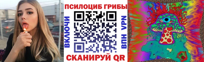 Псилоцибиновые грибы Magic Shrooms  Купить где  Оса 